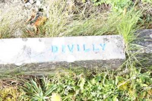 Divilly